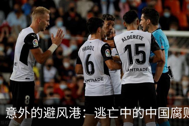 意外的避风港：逃亡中的中国腐败分子与美国的复杂关系